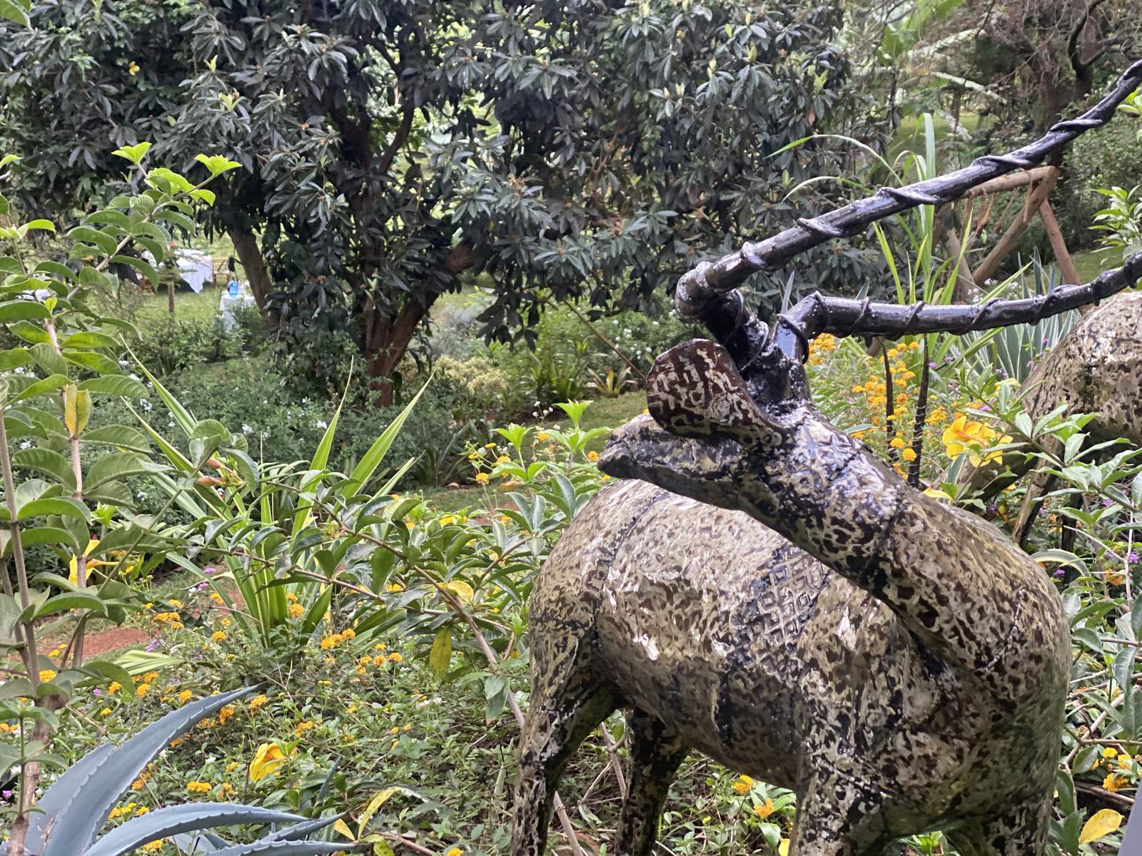 Maarifa Park - Gallery 9
